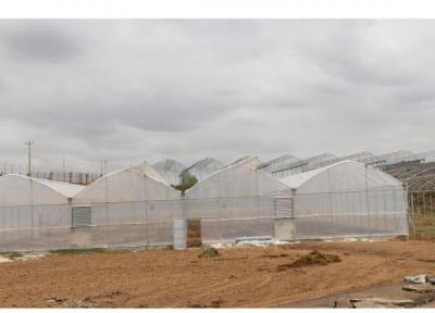 اجرای طرح یک روستا یک محصول در میاندورود، شرایط آسان برای توسعه گلخانه